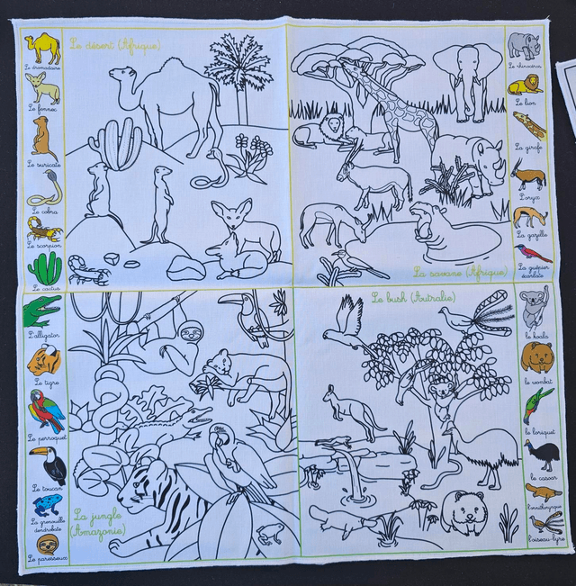 Grande feuille de coloriage lavable 